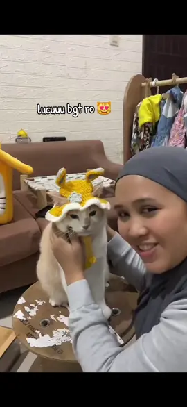 Live by @Pororo Shop #pororoandthegank #kucingpororo #repostlivetiktok #cicichania96 #catlover 