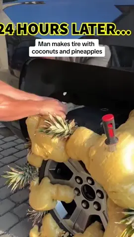 Man makes tire with coconuts and pineapples