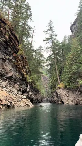 Ross Lake was ✨breathtaking✨ We found this inlet area that was incredible with the most blue water. 10/10 recommend. #pnw #washington #rosslake #northcascades 