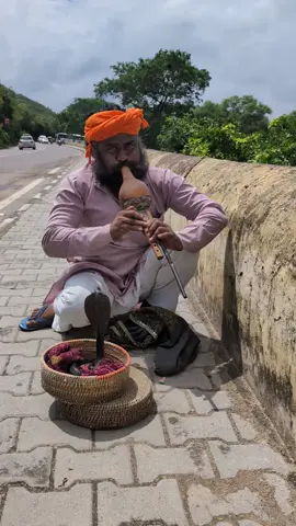 A mesmerizing encounter with tradition 🐍🎶 Watching this skilled snake charmer play the pungi, a symbol of India's ancient street performances. Truly captivating!  #JaipurDiaries #SnakeCharmer #IndianCulture #TravelReels #IncredibleIndia #kobra #explore #India #Wanderlust #traveltiktok 