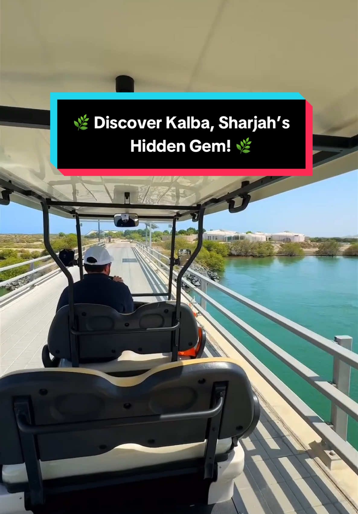 🌿 Discover Kalba, Sharjah’s Hidden Gem! 🌿 Have you explored this stunning coastal spot on the east coast of Sharjah?  Kalba is a must-visit, home to the oldest mangrove forest in the UAE, with trees reaching up to 8 meters! 🌳 🌊 Spot rare wildlife like the Arabian Collared Kingfisher, green turtles, crabs, and more. Perfect for nature lovers and families! 🦜🐢 📅 Open every day (except Mondays). 🎟️ Ticket Prices: Adults: 15 AED Kids under 12: FREE! 👧🧒 Tag your adventure buddies 👇 #Kalba #sharjah #khorfakkan