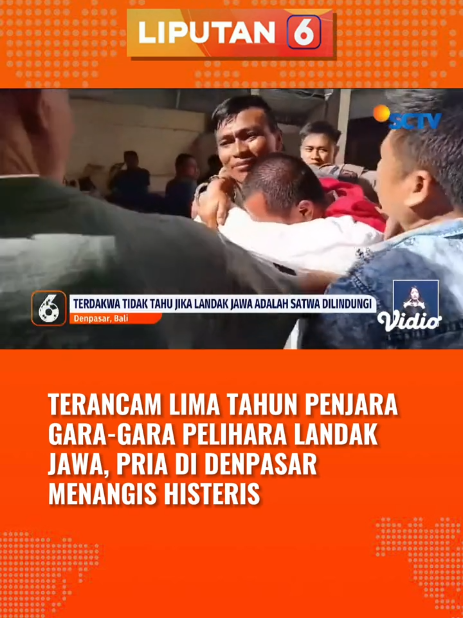 Terdakwa mengaku tak tahu bahwa landak Jawa yang ia pelihara termasuk dalam satwa yang dilindungi... #landakjawa #denpasar #bali #satwadilingdungi #newssctv #liputan6sctv #liputan6pagi #liputan6siang #tiktokberita #tiktoknews #beritatiktok #beritaditiktok #viral #fyp #foryoupage