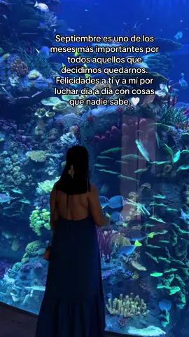 El 10 de Septiembre es el “Día Mundial para la Prevención del Suicidio” La salud mental no es un juego, cada quien tiene sus propias batallas, creemos consciencia, ayuden y escuchen, no juzguen y dejemos de minimizarlo y mucho más el dolor ajeno. Felicidades a los que aún siguen aquí cada día, luchando, nunca olvides lo fuerte que eres, que por algún motivo sigues aqui.🎗️ A los que luchan en secreto, te prometo que vale la pena seguir aquí.🫶🏻✨