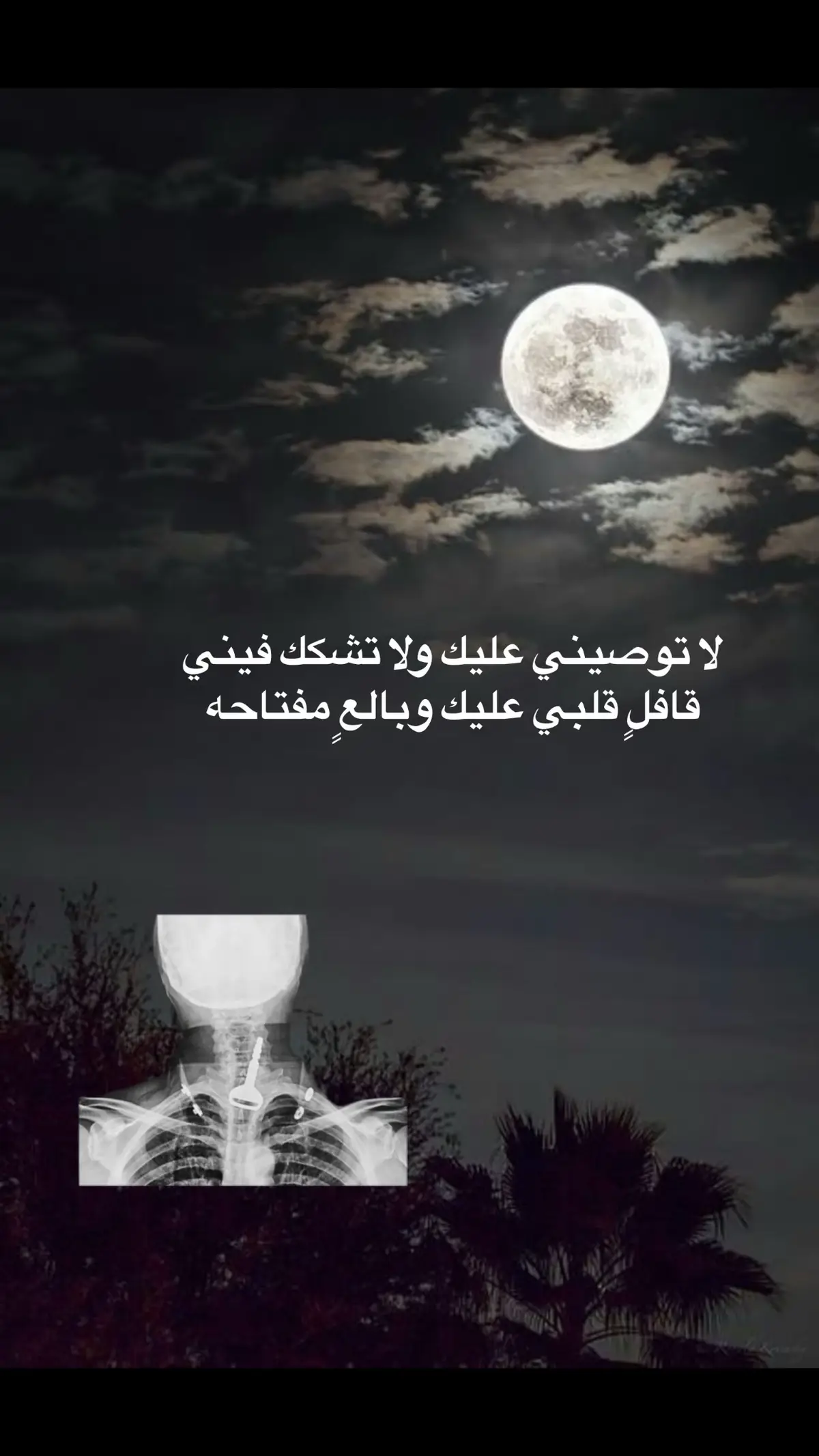 #قصيده_شعر_بوح_كلام_من_ذهب #خواطر_للعقول_الراقية #قصيده #قصايد_شعر_خواطر_أكسبلوررر #شعراء_وذواقين_الشعر_الشعبي #ابيات_شعر #اشعار__وقصايد 