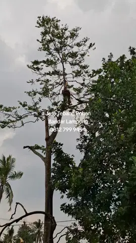 Jangan pernah pias dengan hasilmu hari ini, terus belajar dan terus berjuang demi masa depan 