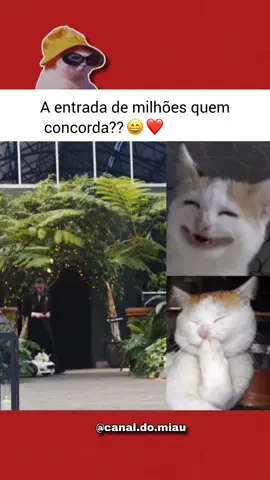 😻😻😻😻❤️❤️❤️❤️ . . . #page #❤️ #😻 #gatostiktok #viral #foryou #miau #fyyyyyyyyyyyyyyyyyyyyyyyyyyyyyyyyyy #amogatos #petlover #viralvideo #gatinho #tiktok #pageforyou #gato #pets #cats #gatos #gatostiktok 