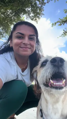 Protected by the best, strolling with the best. ☀️🐾 Come join me and Amino on our sunny walk, powered by Beet the Sun 🌿🐶 @KraveBeauty #kraveconfidence #beetthesun #spf #kravebeauty #skincareroutine #browngirlfriendlysunscreen #florida #browngirlfriendly #nowhitecastsunscreen #lightsunscreen #Summer #holygrailskincare #protectskindaily #holygrails #sunscreen  #nature #dailywalks #walkingmydog #cutepets #pets #dogs #dogsoktiktok skincare for textured skin skincare facial hydrating skincare skincare girl best skincare products drugstore skincare skincare aesthetic skincare hacks 