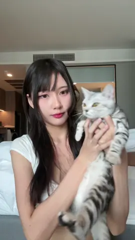 one punch meow