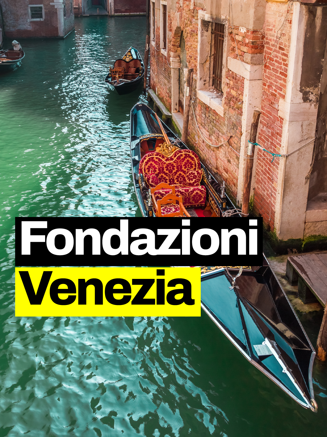 Venezia sembra galleggiare al di sopra della laguna, ma come fa? La città poggia su Milioni di pali in legno conficcati nel terreno! La spiegazione tecnico-scientifica delle fondazioni della città @stefano_gandelli #geopop #scienze #venezia #ingegneria #italia #losapeviche #figononlosapevo #geopopit