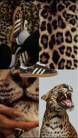 #adidas #adidassamba #adidasoriginals #adidasspezial #adidascampus00s #adidascampus #adidasgirl #shoes #pink #navy #green #vanilla #vanillagirl #itgirlaesthetic #itgirl #brown #browngirl #darkred #leopard #leopardprint #likeatattoo #fyp #foryou #fypシ゚ #moodboard #wallpaper #pinterestaesthetic #music #aesthetic #viral #makemefamous #makemeviral 