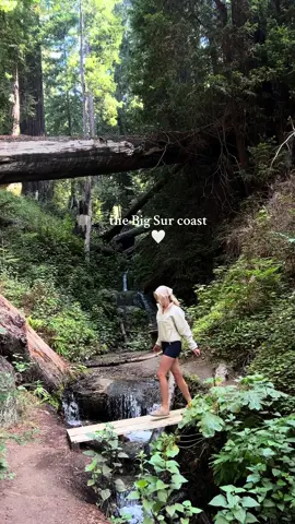 my safe haven 🤍🧚🏼🌲✨