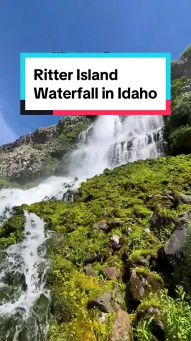 Idaho’s best-kept secret? The stunning waterfall at Ritter Island! A peaceful retreat surrounded by lush greenery and cascading waters💧🌲 Ritter Island Waterfall is a picturesque natural wonder located within Thousand Springs State Park in Idaho. Known for its crystal-clear waters and stunning scenery, this waterfall is a must-see for nature enthusiasts and outdoor adventurers. 📍Ritter Island Waterfall in Idaho #idahocheck #visitidaho #waterfalls #waterfallsoftiktok #ritterisland 