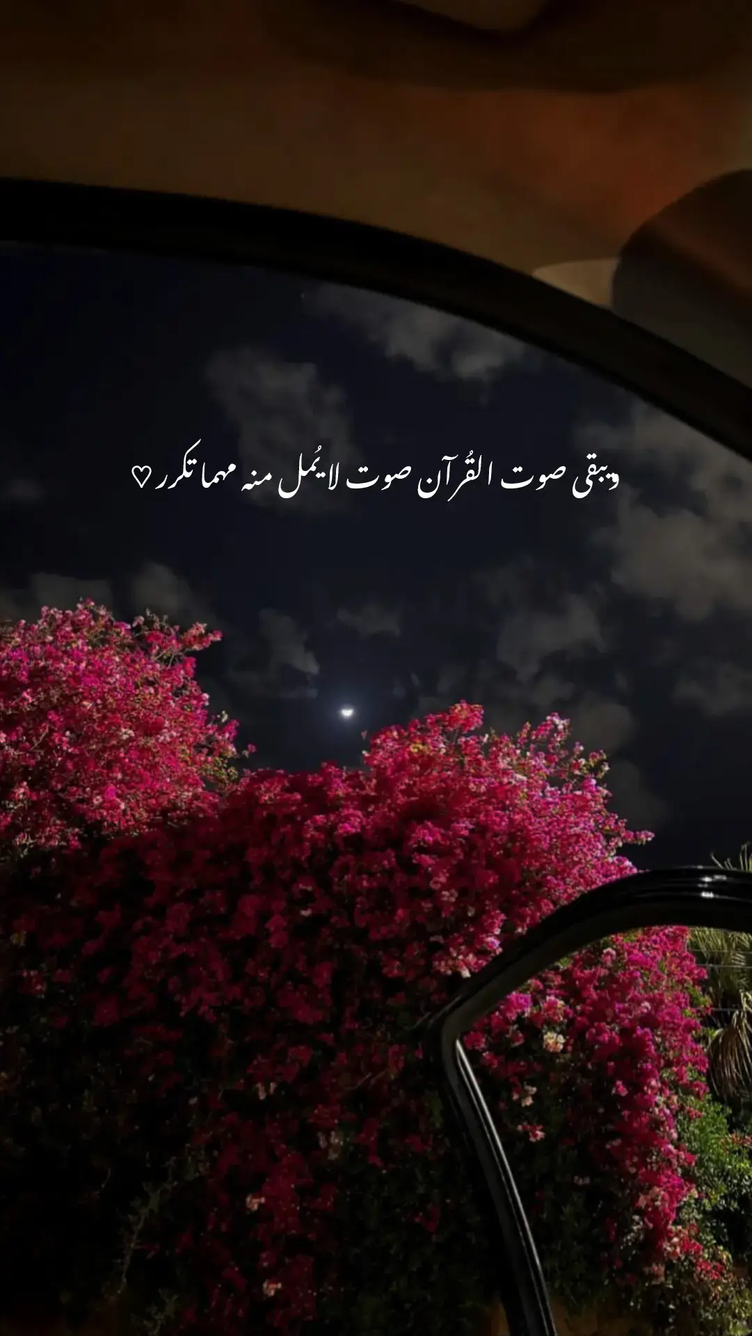 أرح قلبك المتعب قليلاً 🤍🎧!