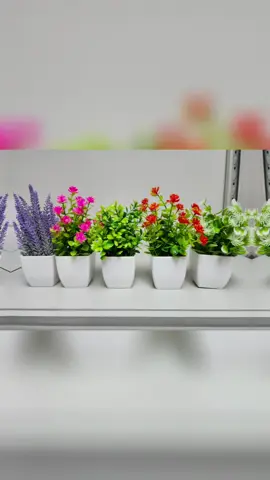 Beautiful mini artificial flowers, $20 each. To shop, go to findsandfancies.company.site #Trinidad  #onlineshoping  #FindsandFancies  #ArtificialPlants  #FauxPlant 