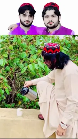 #افغانی_تیک_تاک  @🇦🇫🐅ای لب یو افغانستان🇦🇫🐅 