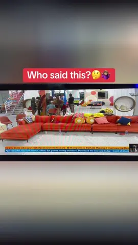 Parrot at work 🔥😂 #PulseBBNaija2024 #BBNaijaNoLooseGuard #PulseBBNaijaNoLooseGuard #pulsenigeria 