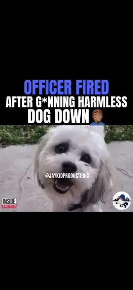 Bodycam footage shows a officer putting down a blind and deaf dog!!! It was said he was called about the dog initially being injuried!!! #crazy #wild #dog #officer #police #viral #viralvideos #viralvideo #viraltiktok #viralnews #fyp #fypage #fypシ゚viral 
