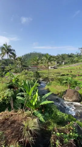 Menemukan ketenangan di aliran jernih Sungai tempat di mana alam dan kehidupan desa berpadu dalam harmoni yang memukau. 🌿💧 #SungaiMelung #KeindahanAlam #harmonidesa #pagubuganmelung #fyp #viral 