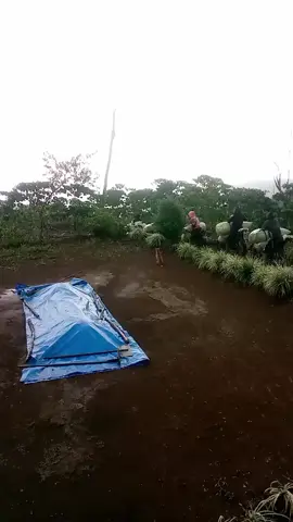 #fyp ojek kopi ke hujanan