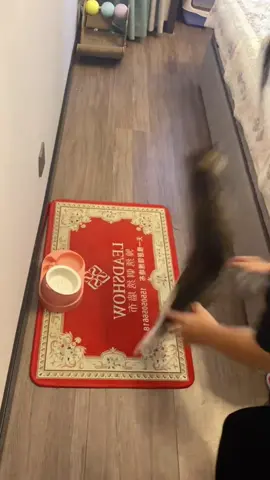 Why are cats so afraid of carpets? #cat #cute #funnyvideos #funny #catsoftiktok #fyp 