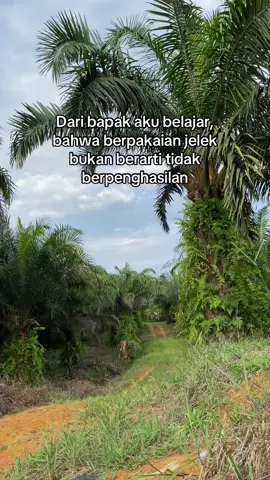 #fyp #ayahhebat #sawit #petanisawit #petanimuda #petaniindonesia🇮🇩🇮🇩🇮🇩🌿🌿 #sawitsumatra #storysawit #sawitbalap #pastifypppp 