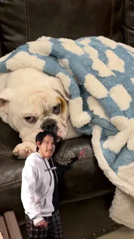 #CapCut my favorite! Diesel #socute #bulldog #bulldogsoftiktok #dieseltrucks 