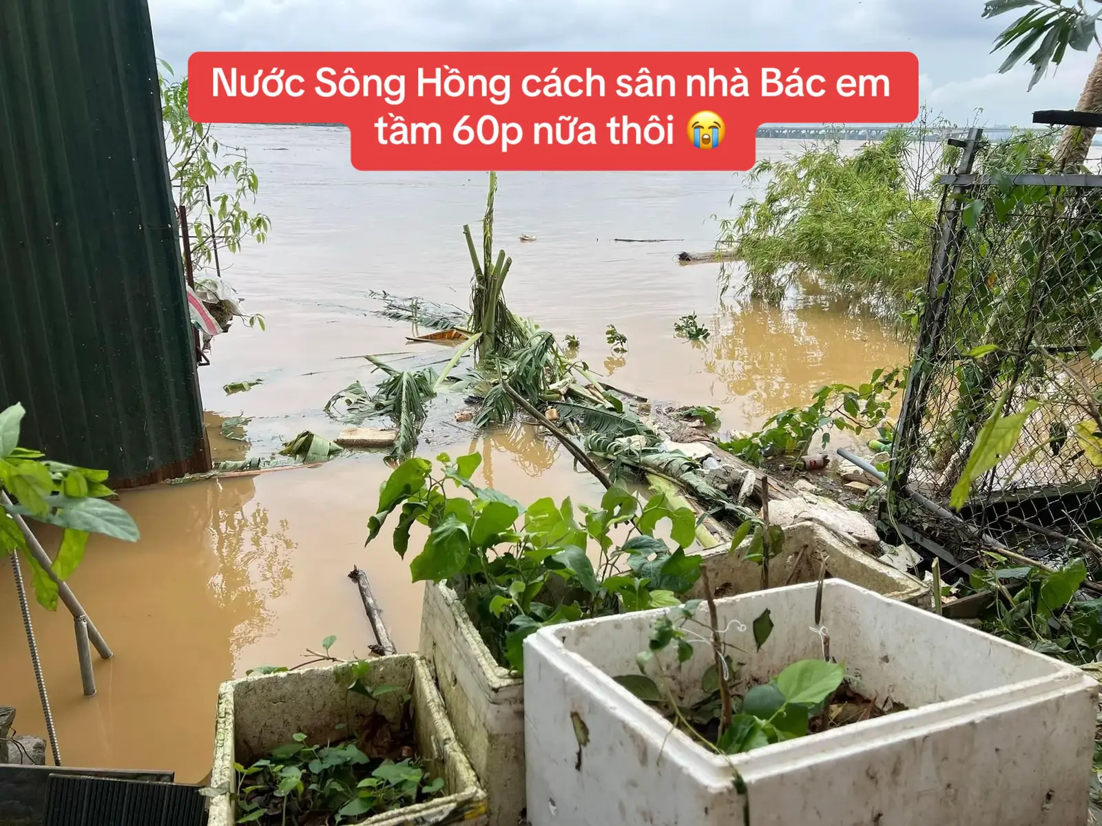 Cố gắng lên nhé Đồng Bào Miền Bắc ơi! Thương vô cùng ạ 😭 #Haohanam☘️ #Haohanam 