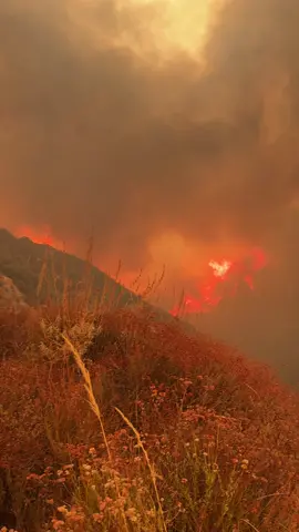 Flames from the Line Fire overtaking Highway 330 in Highland, California. Video taken on Sunday, Sept 8, at roughly 5pm. . . #fyp #linefire #californiawildfire #calfire #trending 