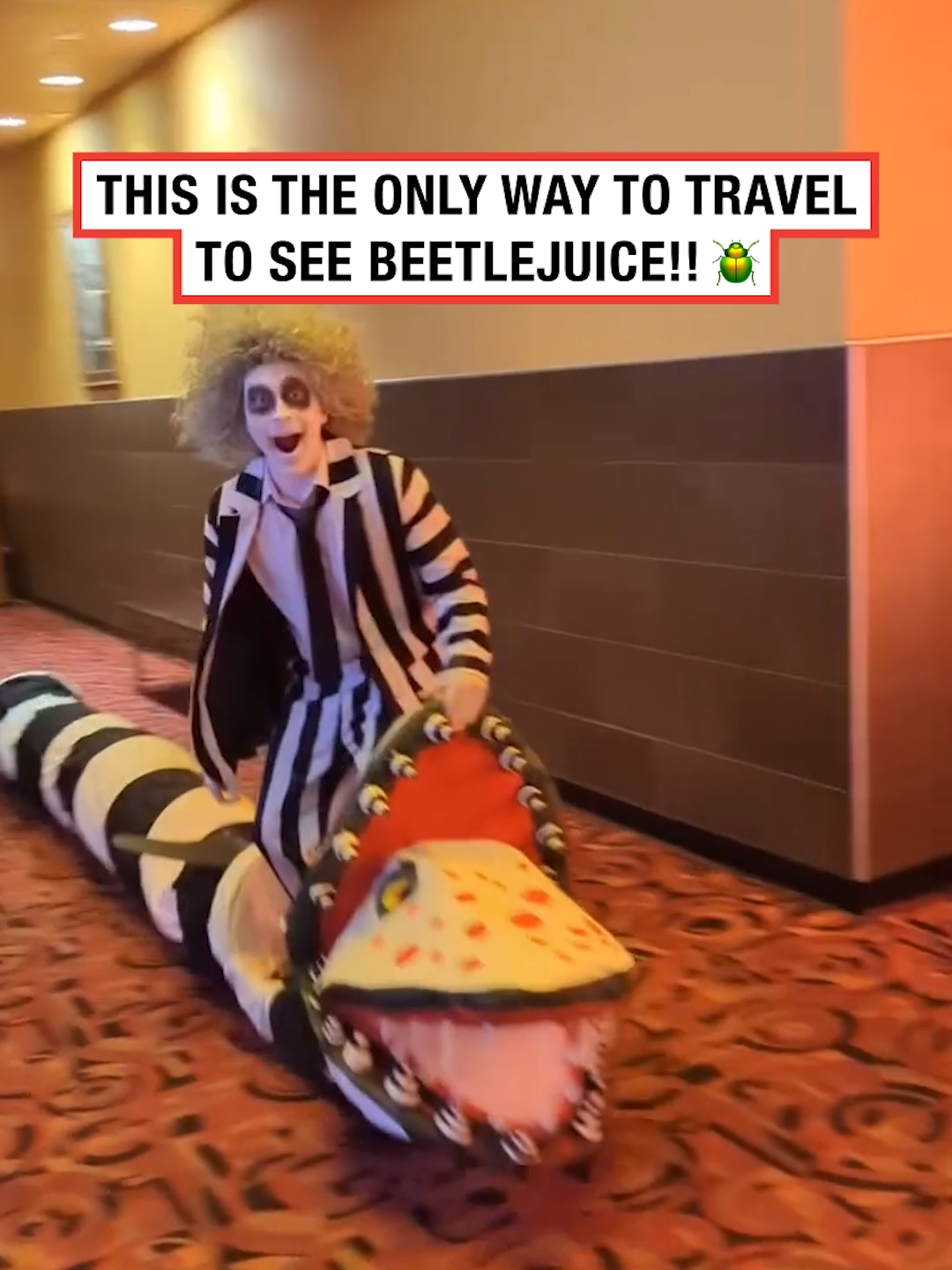 It's showtime!! 🎬 🪲             🎥: Instagram/jesse_myer #ladbible #beetlejuice #movie #showtime #juice #rider