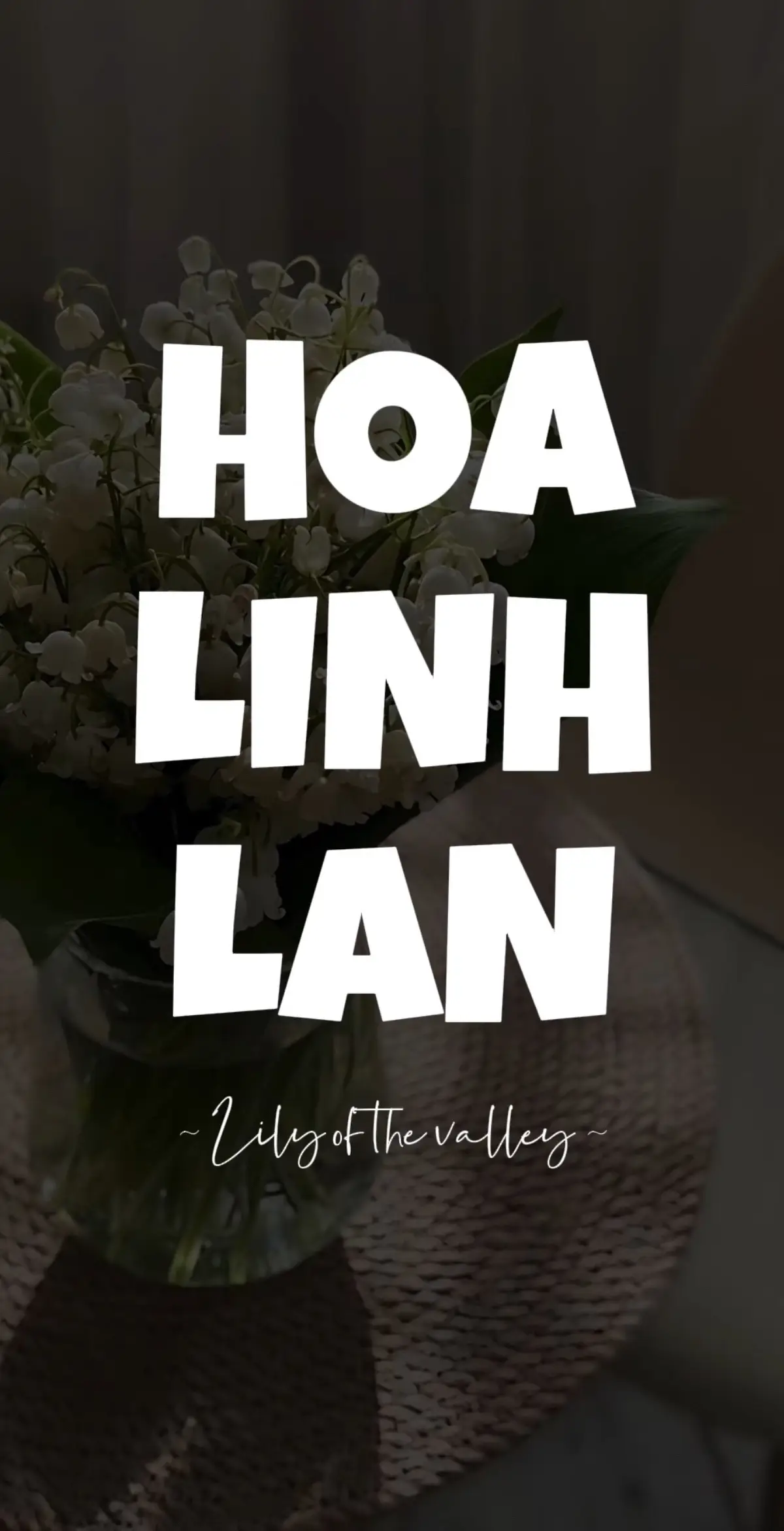 Tập 103 | Hoa Linh Lan #nang #wallpaper #hinhnen #fypシ #xh 