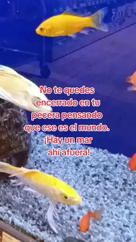 #mar #elmundoesunpañuelo #mundo 