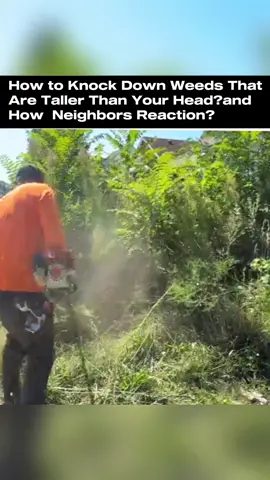 How to knock down tall weeds? Neighbors' reactions..😆 #cleaning #clean #CleanTok #mowingthelawn #yardtransformation #satisfying #happyday365 #satisfyingvideo #lawncare #community #fypシ゚viral #cleanup #mowing #cleaningtiktok #abandoned 