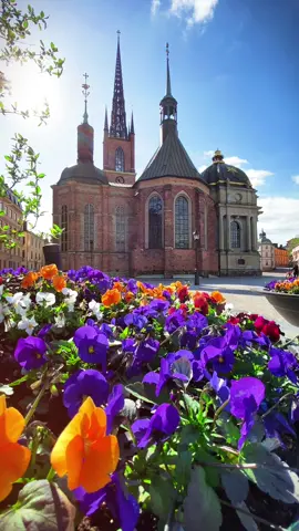 🇸🇪Riddarholmskyrkan ⛪️ STOCKHOLM 🇸🇪#stockholm #sweden #fördig #swedentiktok #sky #europe #summervibes #views #foryou #sweden🇸🇪 #sverige #cityview #fyp #scandinavia 