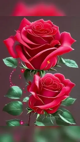 Beautiful flowers pictures 💐 🌹 🌻  #rosevibes  #fascinating 
