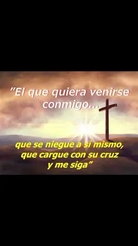 Toma tu cruz cada día y Sígueme.  #jesus #sigueme 