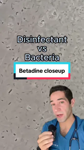 Betadine @MicroworldDiscovery #firstaid #antiseptic #microscope #closeup #disinfectant #bacteria #doctorexplains