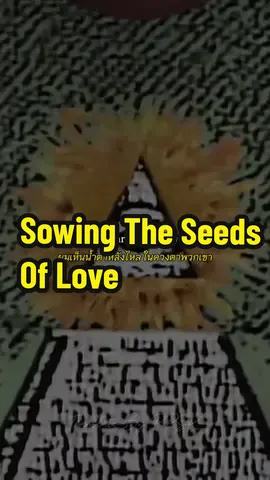 Tears for fears - Sowing The Seeds Of Love แปลไทย ความหมายเพลง คือ เนื้อหาเน้นเรื่องการวิพากษ์วิจารณ์การเมืองและสังคมในช่วงเวลานั้น พร้อมกับการเสนอแนวคิดการเปลี่ยนแปลงโลกด้วยความรัก เนื้อเพลงมีความหมายซ่อนเร้นถึงความขัดแย้งและความปรารถนาให้เกิดการเปลี่ยนแปลงที่ดีขึ้นในโลก #tearsforfears #sowingtheseedsoflove #edit #lyricsmusic #แปลไทย 