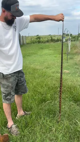 Unpopular opinion I would rather have mice than a snake. Egg thief had to go.  #farmlife #homestead #noperope #snakesoftiktok #snakes #farmtok #farmanimals #spicynoodles #snake #animalsoftiktok #foryoupage #fyp 