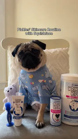 Cuteness overload with those fresh wrinkles 🥰 @Pickles & Pancake #pugsoftiktok #pugs #dogsoftiktok #dogs #pugpuppy #pugmom 