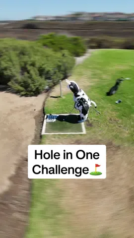 Which Character should we test next? #holeinone #golfdaddy #cow #golf #golfing #golfsimulator 