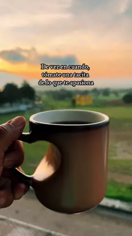 Amo el primer traguito de Café ☕️ #cafe #cafecito #cafeenlamontaña #bosque #amanecer #megusta #amoelcafe #montaña #naturaleza #hazloqueamas #hazloqueteapasiona 