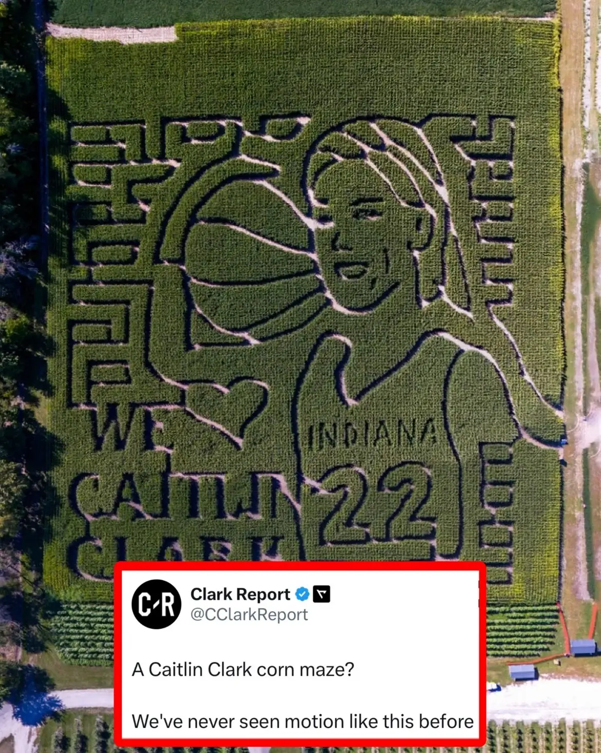 Custom corn maze is crazy 🤣🔥 (Via mattscottmedia/X) #caitlinclark #WNBA #angelreese #cornmaze #iowa #indiana 