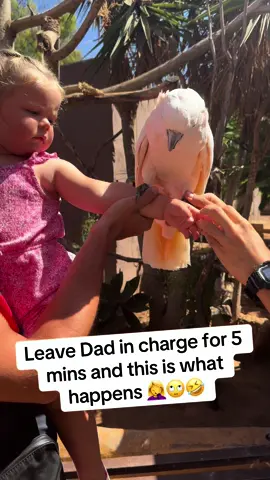 Whilst on holiday we took a visit to monkey park. Despite the park being filled with monkeys and other exotic animals she seemed to be most interested in the guinea pigs 😂 Thankfully she didn’t get pecked or clawed by the parrot 🙃🐞 #toddlersoftiktok #parentsoftiktok #lifeofatoddler #toddlertalk #motherdaughter 