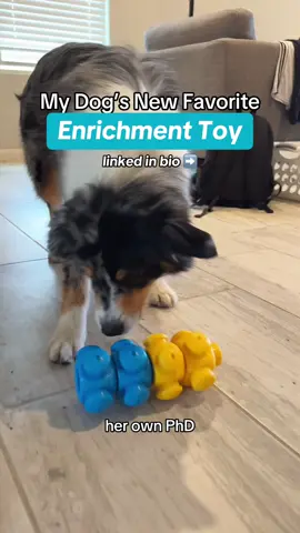 This enrichment toy has seriously become a staple of our daily mind games while it’s too hot to get outside! Basil drives me CRAZY when she’s bored and this game keeps her busy for so long! 🙌🏻 I especially love that you can increase the difficulty after they’ve mastered each level. Basil is a brainiac and she’s only on level 2 out of 5! You can find it in my Amazon Storefront under Enrichment Toys! #dogtoys #enrichmenttoys #enrichmenttoy #dogenrichment 