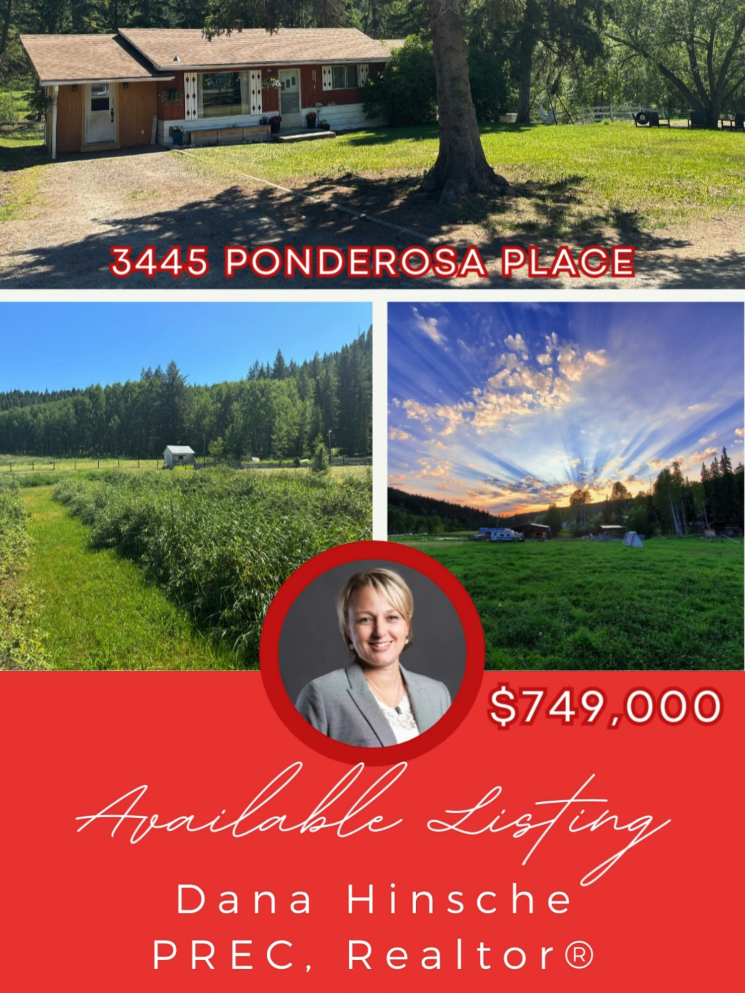 🏡   AVAILABLE LISTING 🏡    📍   3445 PONDEROSA PLACE ✨   $769,000 Welcome to your charming rancher bungalow nestled on over 46 acres of scenic bliss! The bungalow feature: 4 bedrooms with an ensuite. This picturesque property boasts serene pastures, a tranquil creek, fruit trees, berry bushes, and scenic trails right off of your backyard; perfect for nature enthusiasts and outdoor lovers alike. Located just 10 minutes from town on a school bus route, enjoy the convenience of local amenities while relishing the in peace and privacy of country living. Take a look and make this home yours! MLS®R2904775 CALL or TEXT Dana to VIEW Dana Hinsche PREC, Realtor®  ☎️   250-398-0914   ✉️   danahinsche@gmail.com  🌍   www.danahinsche.com   #danahinsche #danahinscherealestate #realestate #williamslakebc  #williamslakerealtor #houseforsale #CountryLiving #RuralRetreat #HomeForSale #RealEstateGoals #HomeSweetHome #trendingnow #trendingtiktok #trendingvideo