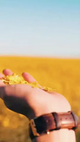Septiembre amarillo. 🎗️ En altamente sabemos sobre la importancia de hablar sobre esta problemática desde la empatía para poder concientizar y prevenir. No estás solo. 🫂 #psicologia #saludmental #prevencion #Altamente #septiembre 