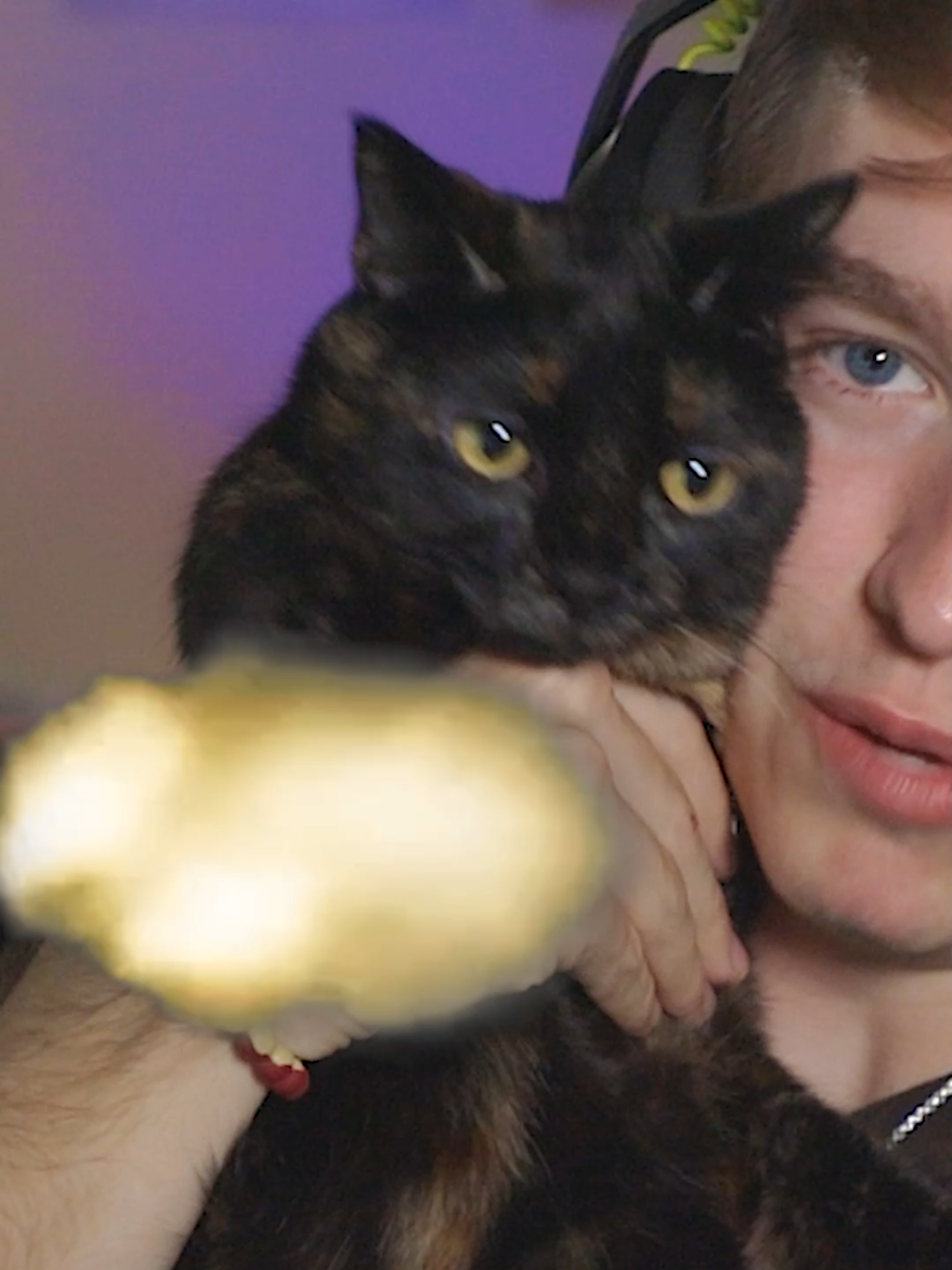 Why dont they give cats g.u.n.s? #fyp #ericgutowski #youtube #connerweregonnabefamous