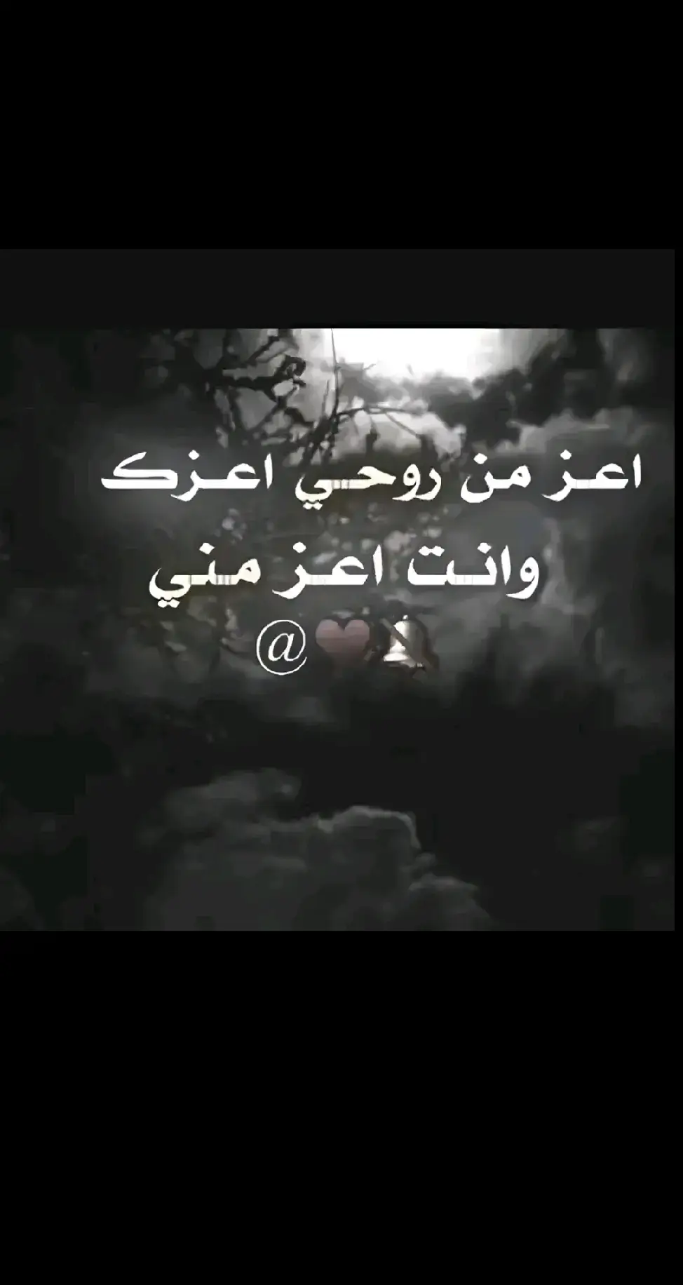 جزء9| #قصايد_شعر_خواطر #ايهم