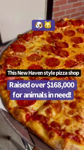 Calling all animal lovers!!!!! If you love to support a business that supports animals - Frisco's Pizza 345 Forbes Ave New Haven, Ct 203-821-7237 Frisco's Pizza is serving up classic New Haven style pizza - and it's delicious! Thin crust, light sauce with nice flavor not overpowering and the cheese!  A truly great pie if you love New Haven style! We spoke with John about his philanthropy and it goes back to the beginning, 13 years ago. He works with many animals organizations like Passion 4 Paws and identifies animals that have been abandoned, abused or neglected and every few months he holds a fundraiser - that basically is - he donates 100% of his revenue made (all of it, not just the profit) , though he does pay staff from sales then then rest is donated. He has raised over $168,000 to date!!!!  He has no plans on stopping! His next fundraiser is on Sunday, October 20th 11-9pm Follow him on social media to see all his fundraisers!   #ct #connecticut #newhaven #newhavenpizza #friscospizza #thingstodoinct #thingstodoinconnecticut #ctfoodie #ctfoodies #ctpizza #ctpizzaguide #ctpizzatrail 
