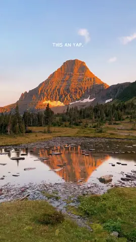 wanna join? #glaciernationalpark #hiddenlake #nature #fypage  